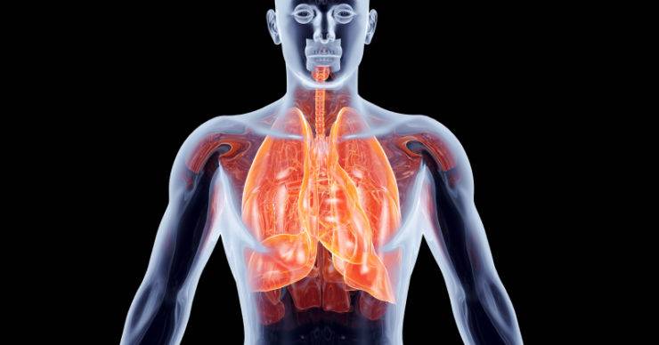 Covid-19 – study ‘identifies’ lung damage